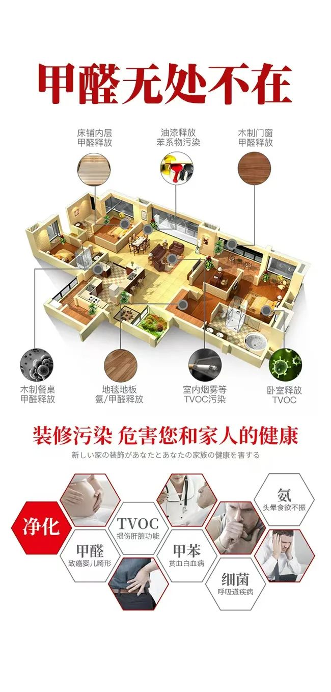 除甲醛克星，植物分子安全高效除醛