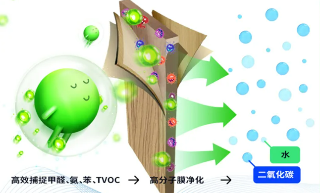 除甲醛克星，植物分子安全高效除醛