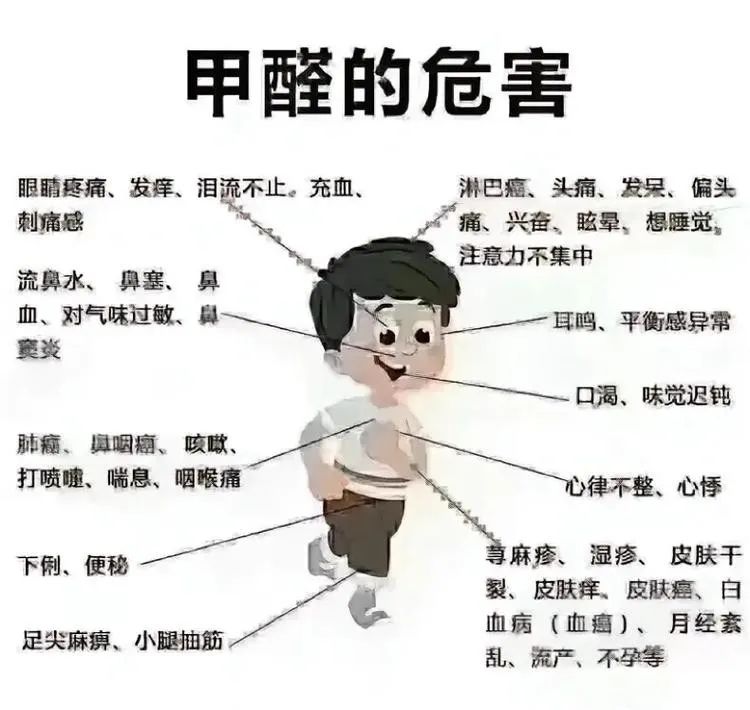搬新家了怎么除甲醛?双博士彩虹果冻来帮您