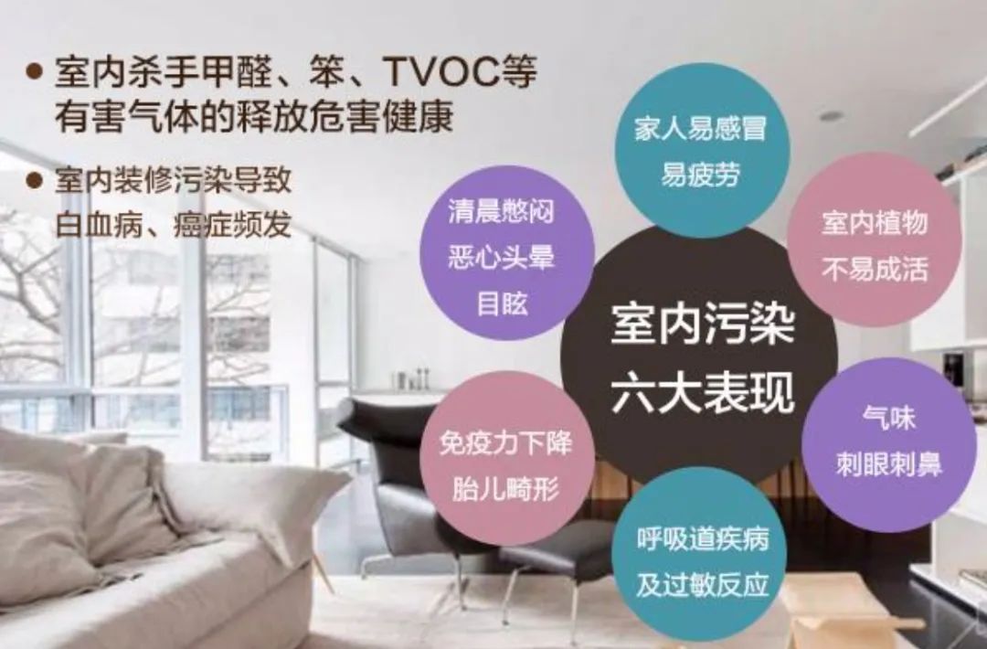 室内除甲醛高效方法+避坑攻略