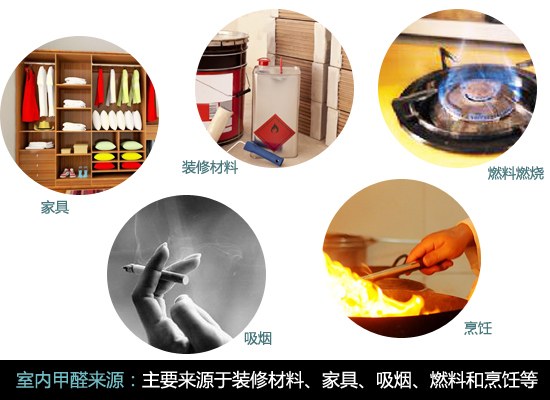 甲醛来源在哪里?双博士除甲醛攻略解析