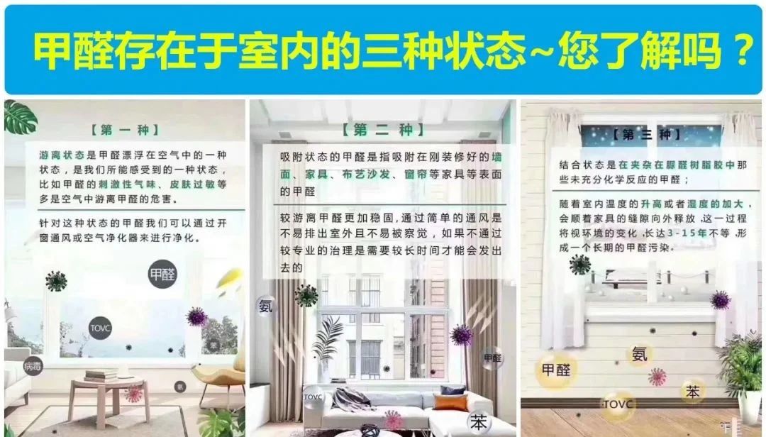 甲醛全方位解读，除甲醛必找双博士