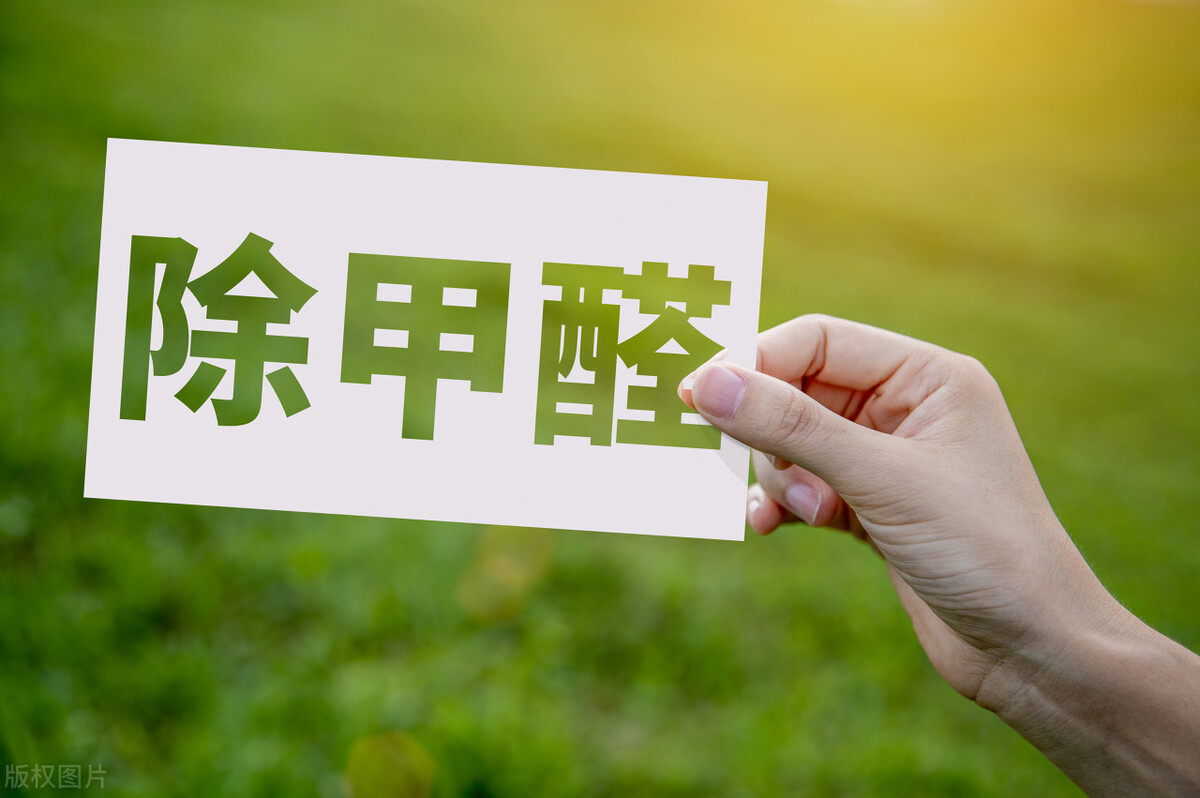 新房入住除甲醛的高效操作!双博士教你快速除醛